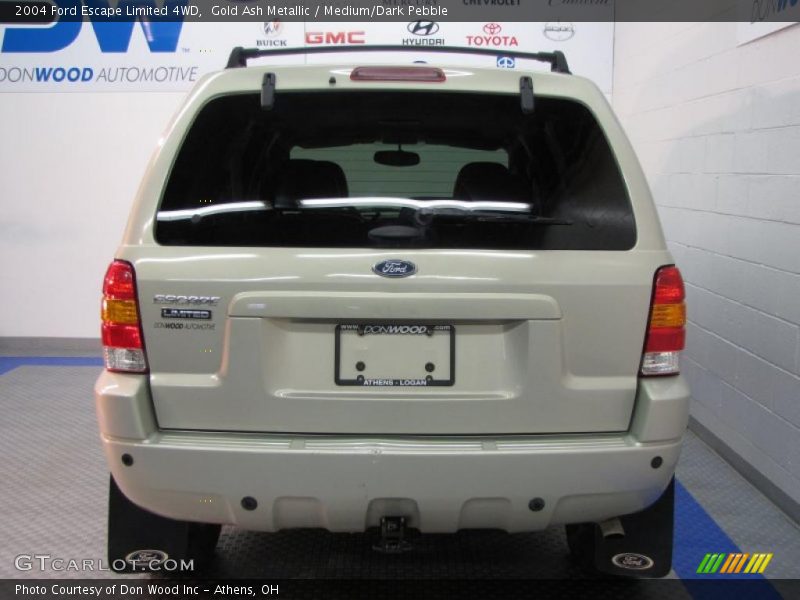 Gold Ash Metallic / Medium/Dark Pebble 2004 Ford Escape Limited 4WD