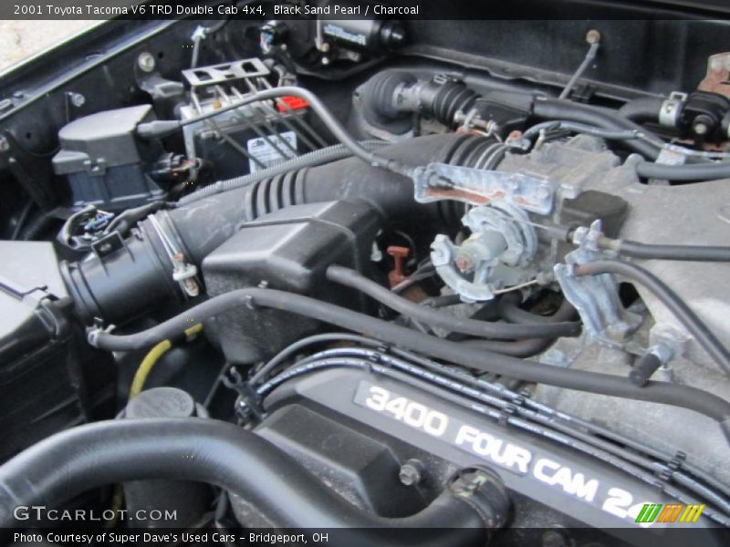 Black Sand Pearl / Charcoal 2001 Toyota Tacoma V6 TRD Double Cab 4x4