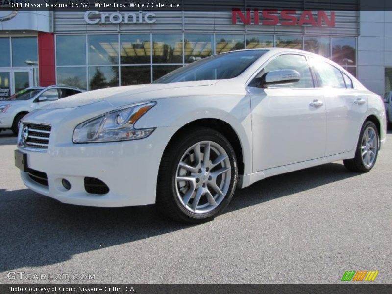  2011 Maxima 3.5 SV Winter Frost White