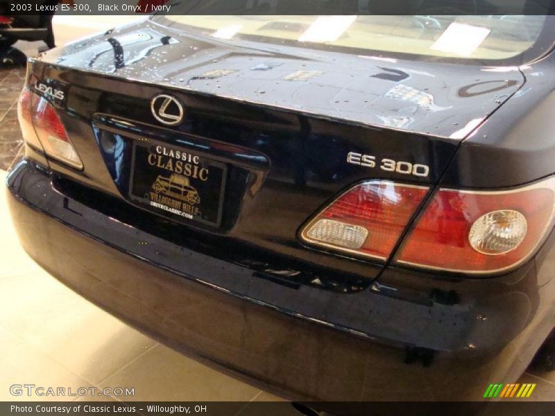 Black Onyx / Ivory 2003 Lexus ES 300