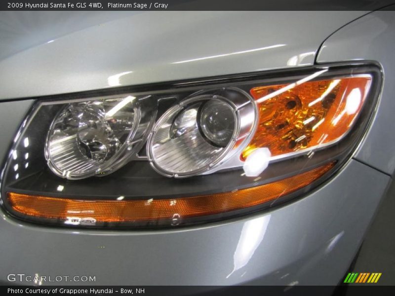 Platinum Sage / Gray 2009 Hyundai Santa Fe GLS 4WD