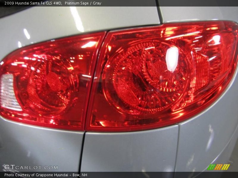 Platinum Sage / Gray 2009 Hyundai Santa Fe GLS 4WD