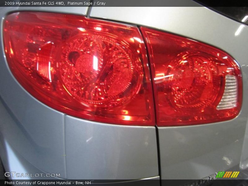 Platinum Sage / Gray 2009 Hyundai Santa Fe GLS 4WD