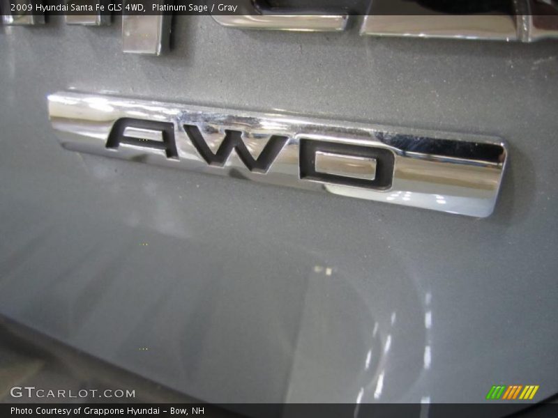 Platinum Sage / Gray 2009 Hyundai Santa Fe GLS 4WD