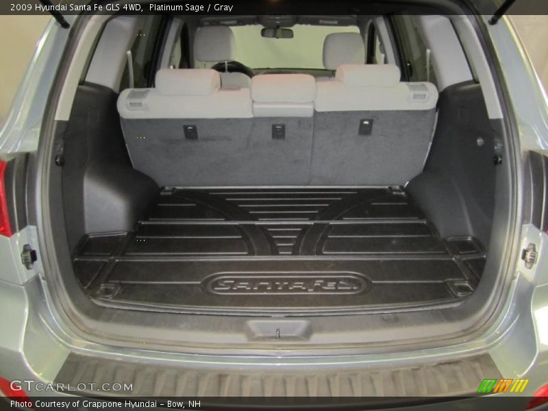Platinum Sage / Gray 2009 Hyundai Santa Fe GLS 4WD