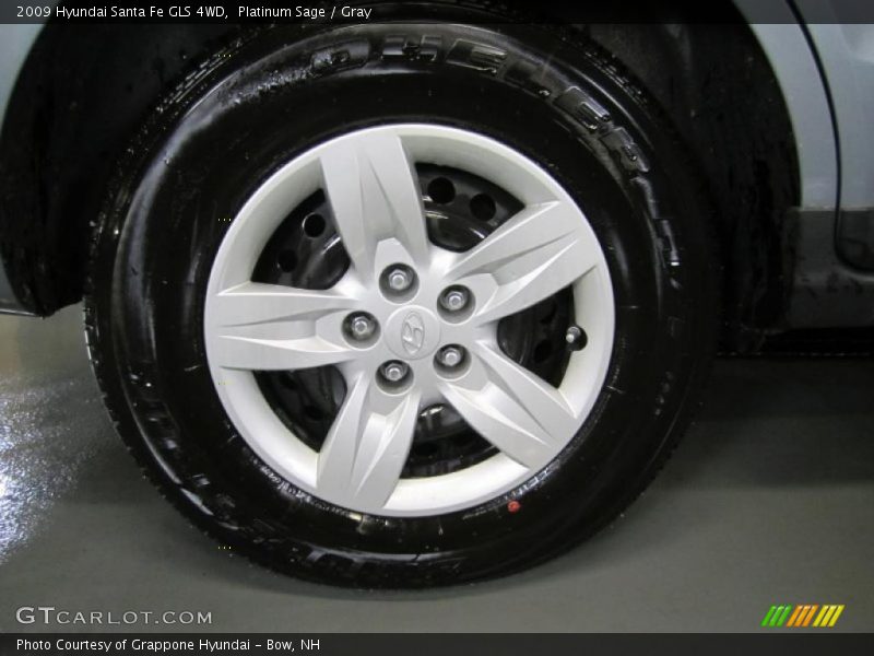 Platinum Sage / Gray 2009 Hyundai Santa Fe GLS 4WD