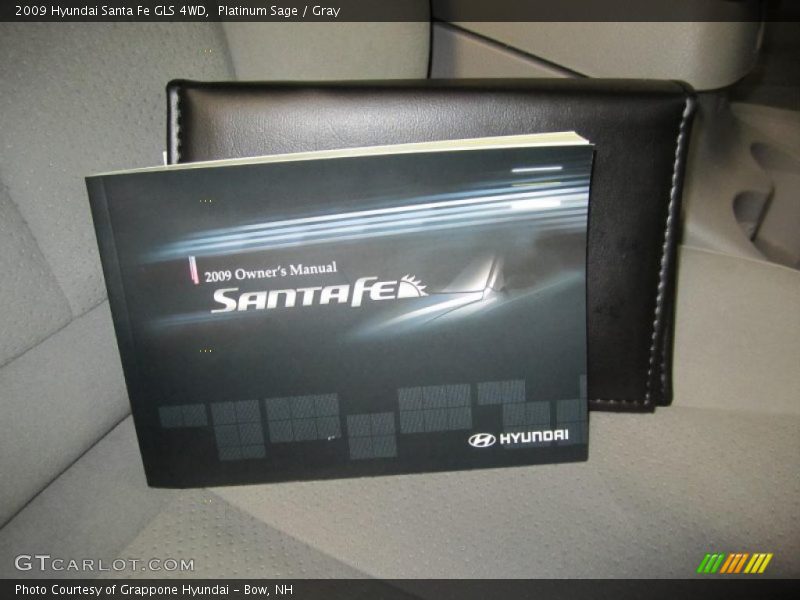 Platinum Sage / Gray 2009 Hyundai Santa Fe GLS 4WD