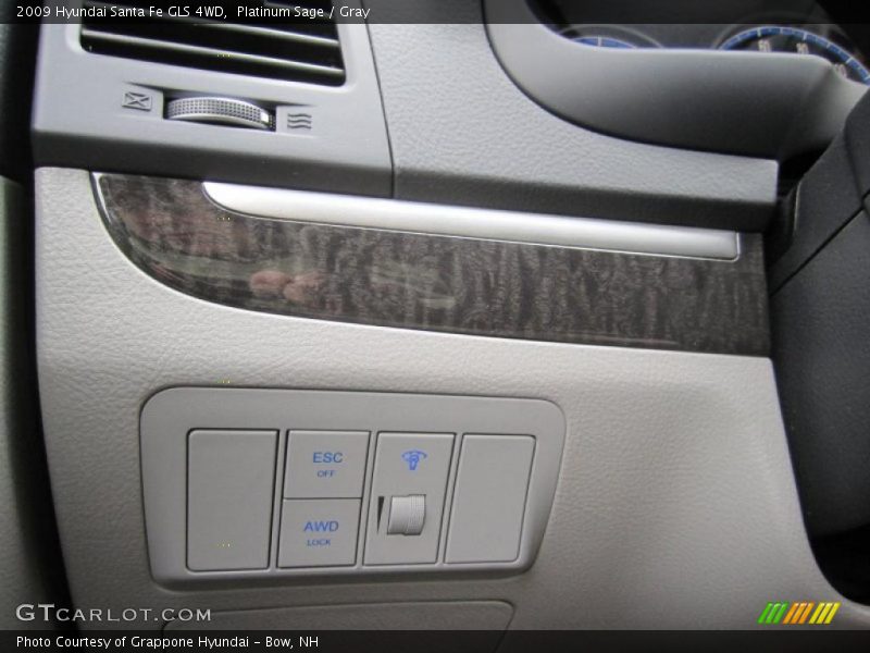 Platinum Sage / Gray 2009 Hyundai Santa Fe GLS 4WD