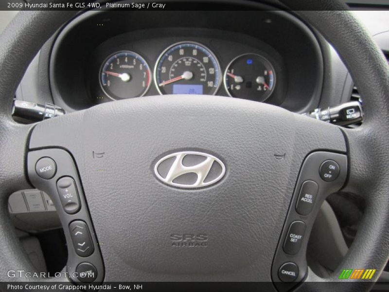 Platinum Sage / Gray 2009 Hyundai Santa Fe GLS 4WD