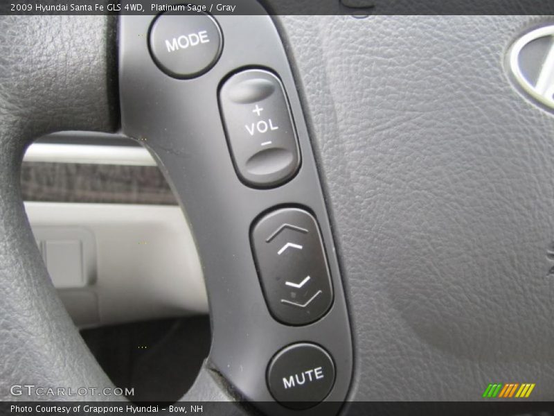 Platinum Sage / Gray 2009 Hyundai Santa Fe GLS 4WD