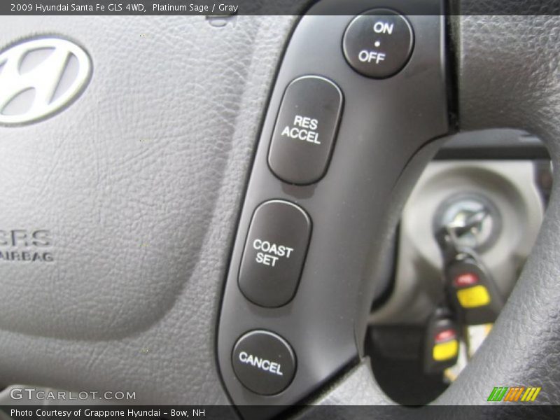 Platinum Sage / Gray 2009 Hyundai Santa Fe GLS 4WD