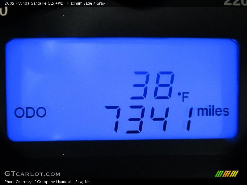 Platinum Sage / Gray 2009 Hyundai Santa Fe GLS 4WD