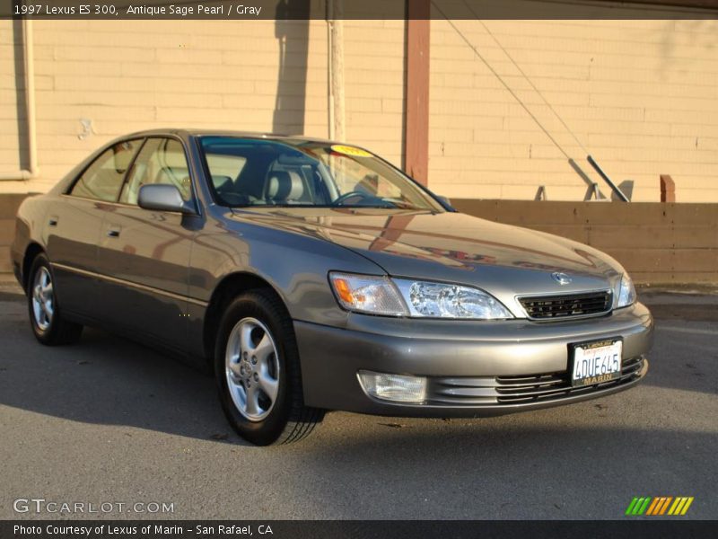Antique Sage Pearl / Gray 1997 Lexus ES 300