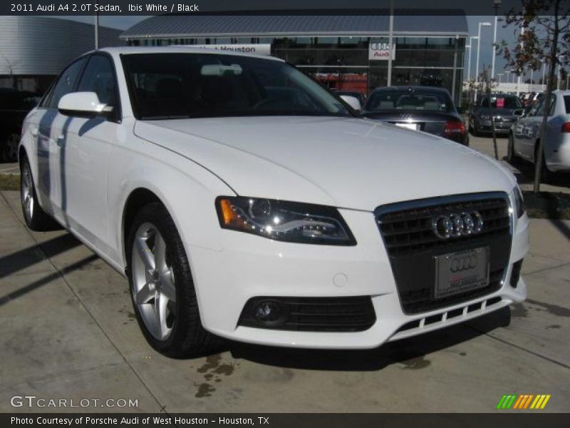 Ibis White / Black 2011 Audi A4 2.0T Sedan