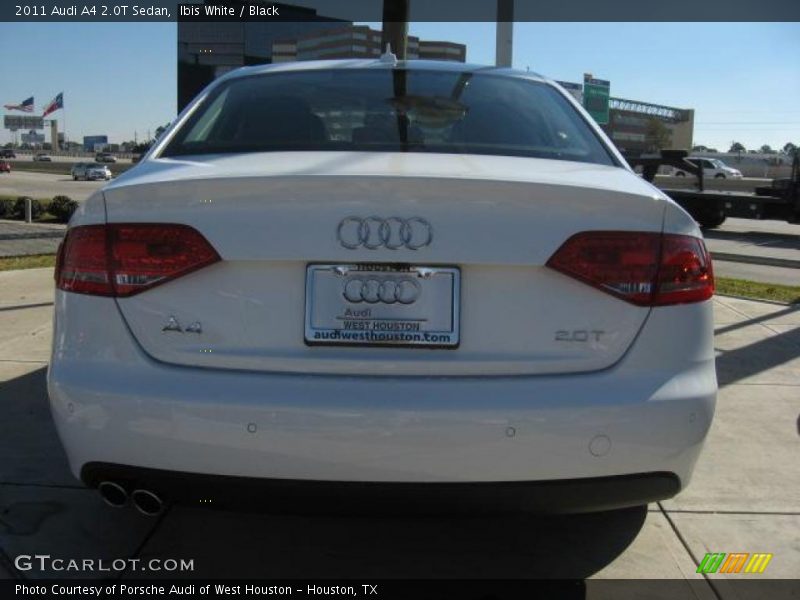 Ibis White / Black 2011 Audi A4 2.0T Sedan