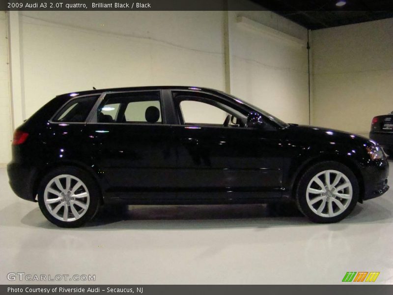 Brilliant Black / Black 2009 Audi A3 2.0T quattro