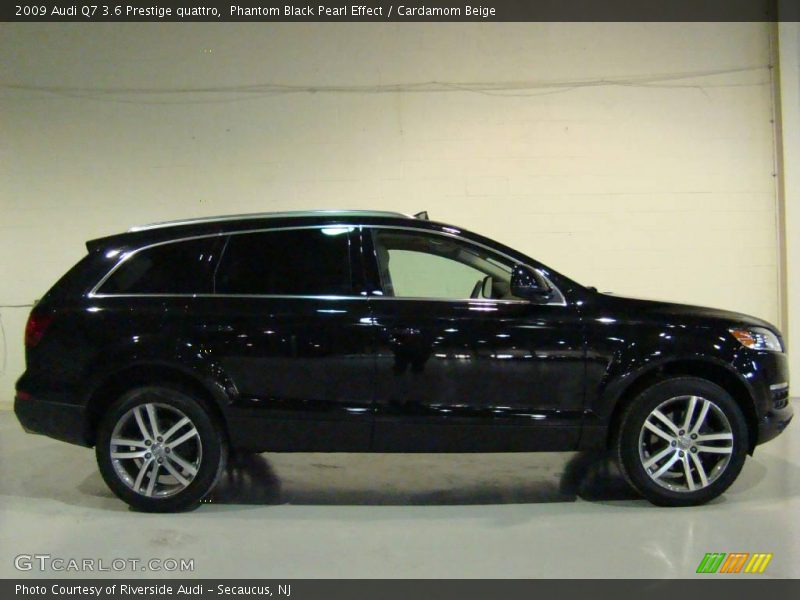 Phantom Black Pearl Effect / Cardamom Beige 2009 Audi Q7 3.6 Prestige quattro