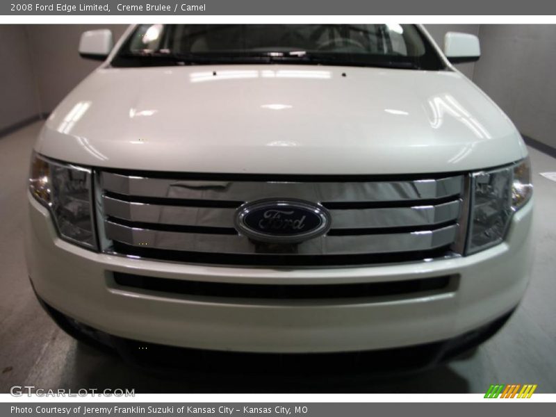 Creme Brulee / Camel 2008 Ford Edge Limited