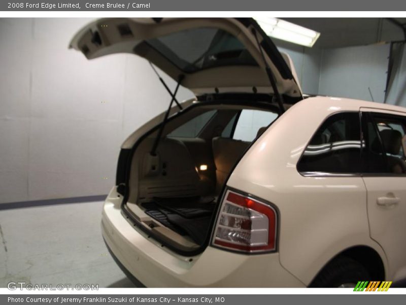 Creme Brulee / Camel 2008 Ford Edge Limited