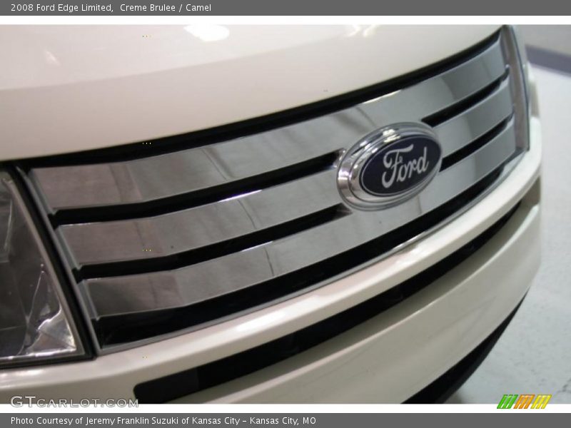 Creme Brulee / Camel 2008 Ford Edge Limited