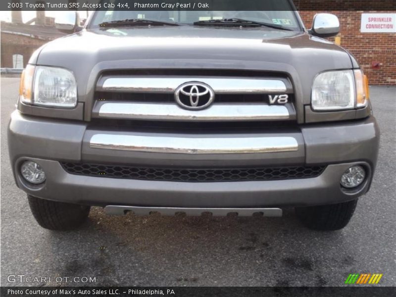 Phantom Gray Pearl / Oak 2003 Toyota Tundra SR5 Access Cab 4x4