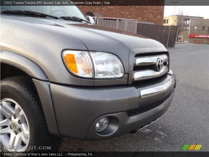 Phantom Gray Pearl / Oak 2003 Toyota Tundra SR5 Access Cab 4x4