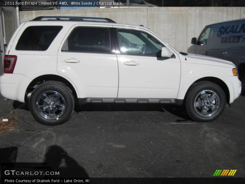 White Suede / Charcoal Black 2011 Ford Escape Limited V6 4WD