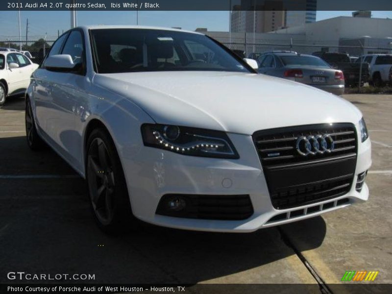 Ibis White / Black 2011 Audi A4 2.0T quattro Sedan