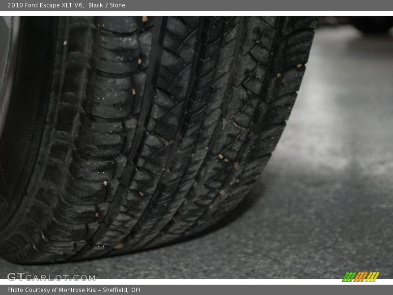 Black / Stone 2010 Ford Escape XLT V6