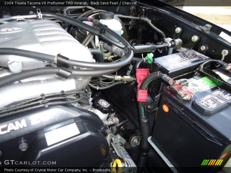 Black Sand Pearl / Charcoal 2004 Toyota Tacoma V6 PreRunner TRD Xtracab