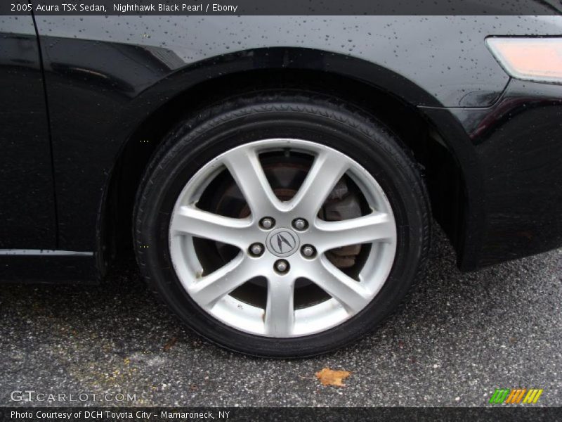 Nighthawk Black Pearl / Ebony 2005 Acura TSX Sedan