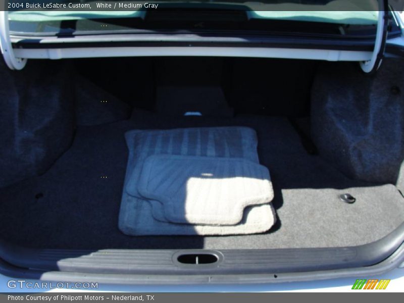 White / Medium Gray 2004 Buick LeSabre Custom