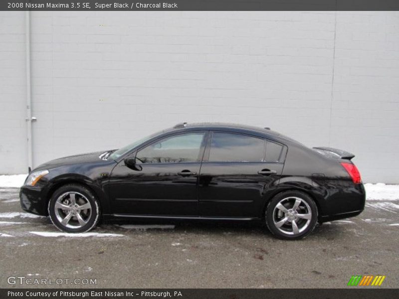 Super Black / Charcoal Black 2008 Nissan Maxima 3.5 SE
