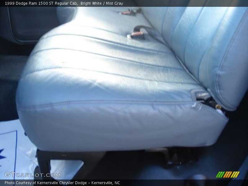 Bright White / Mist Gray 1999 Dodge Ram 1500 ST Regular Cab