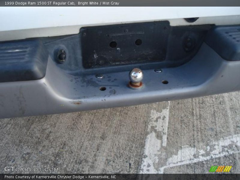 Bright White / Mist Gray 1999 Dodge Ram 1500 ST Regular Cab