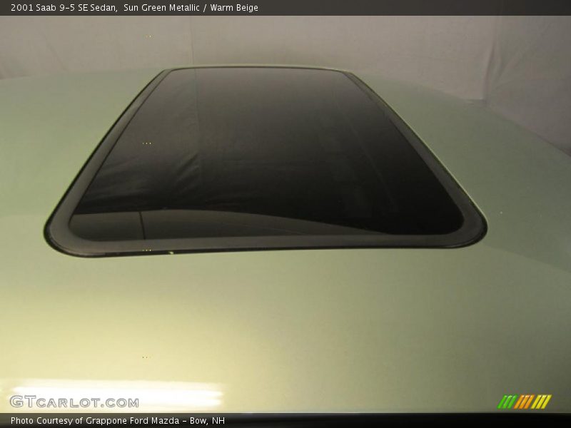 Sun Green Metallic / Warm Beige 2001 Saab 9-5 SE Sedan
