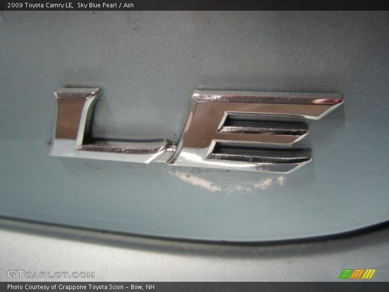 Sky Blue Pearl / Ash 2009 Toyota Camry LE