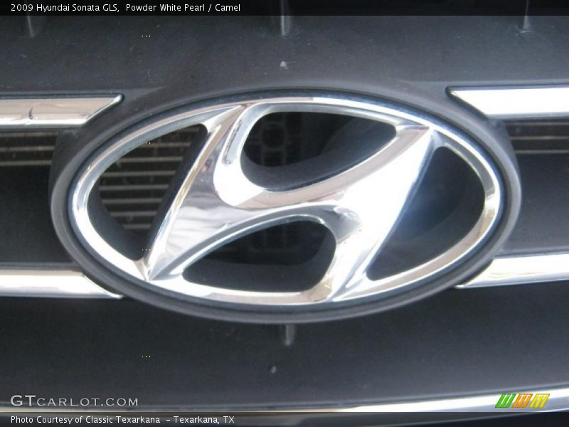 Powder White Pearl / Camel 2009 Hyundai Sonata GLS