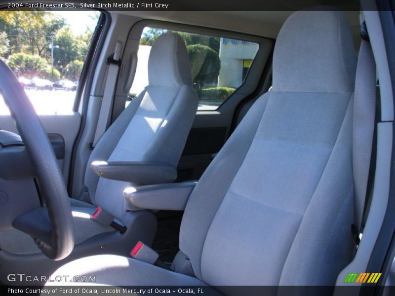 Silver Birch Metallic / Flint Grey 2004 Ford Freestar SES