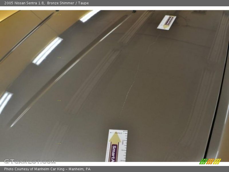 Bronze Shimmer / Taupe 2005 Nissan Sentra 1.8