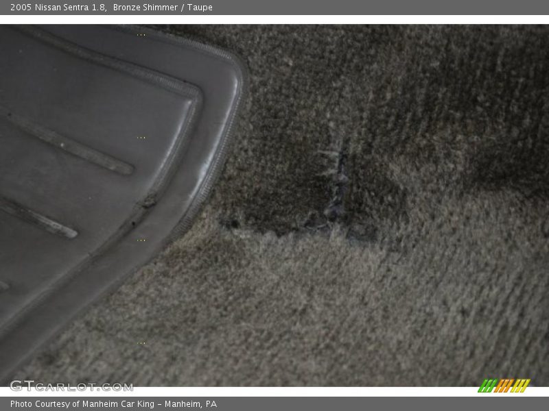 Bronze Shimmer / Taupe 2005 Nissan Sentra 1.8