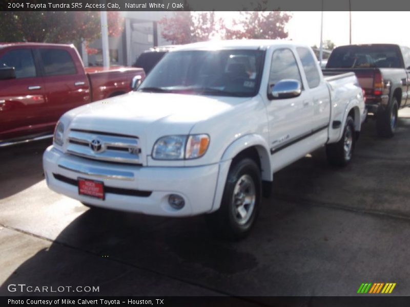 Natural White / Oak 2004 Toyota Tundra SR5 Access Cab