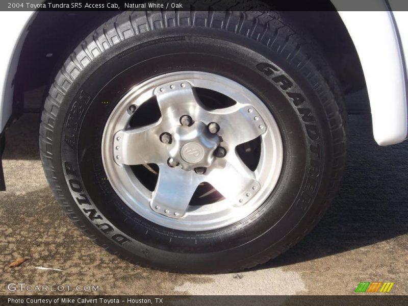Natural White / Oak 2004 Toyota Tundra SR5 Access Cab