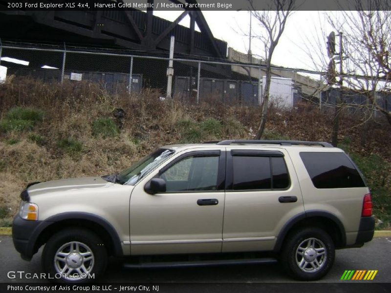 Harvest Gold Metallic / Medium Parchment Beige 2003 Ford Explorer XLS 4x4