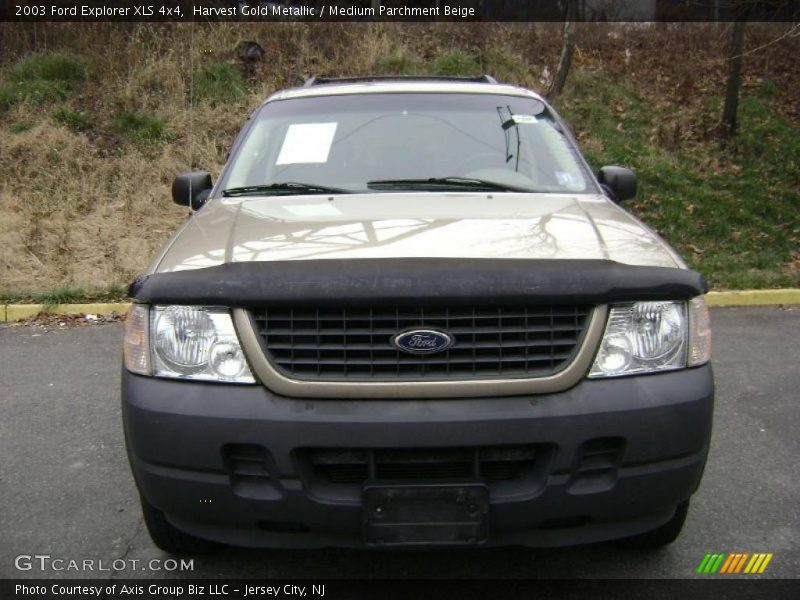 Harvest Gold Metallic / Medium Parchment Beige 2003 Ford Explorer XLS 4x4