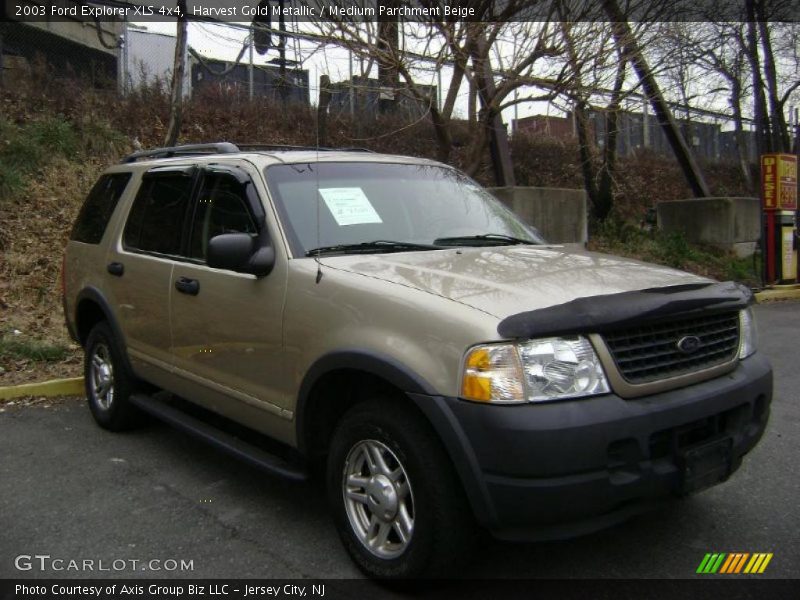 Harvest Gold Metallic / Medium Parchment Beige 2003 Ford Explorer XLS 4x4