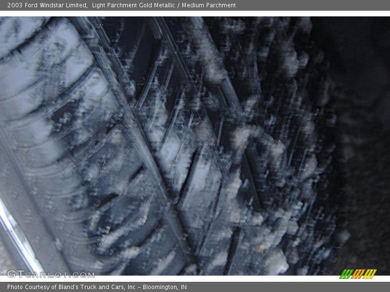 Light Parchment Gold Metallic / Medium Parchment 2003 Ford Windstar Limited