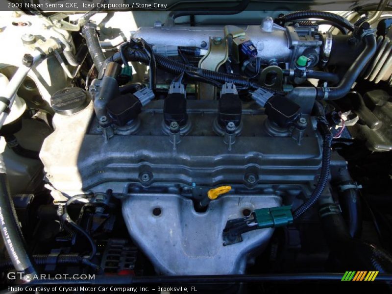 Iced Cappuccino / Stone Gray 2003 Nissan Sentra GXE
