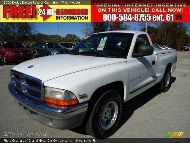 Bright White / Agate 2000 Dodge Dakota Regular Cab