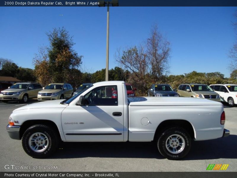 Bright White / Agate 2000 Dodge Dakota Regular Cab